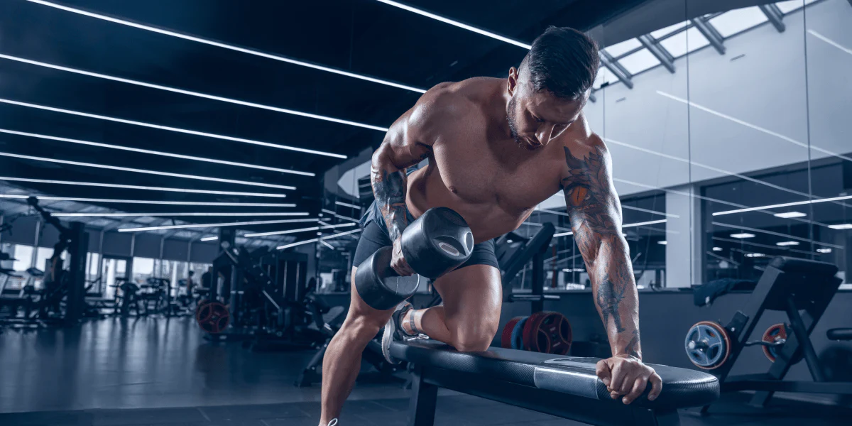 Appareil de fitness extérieur : Avantages et Options pour un Entraînement Optimal